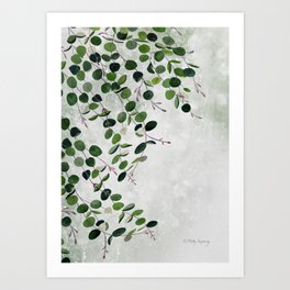 Eucalyptus Foliage 2 Art Print