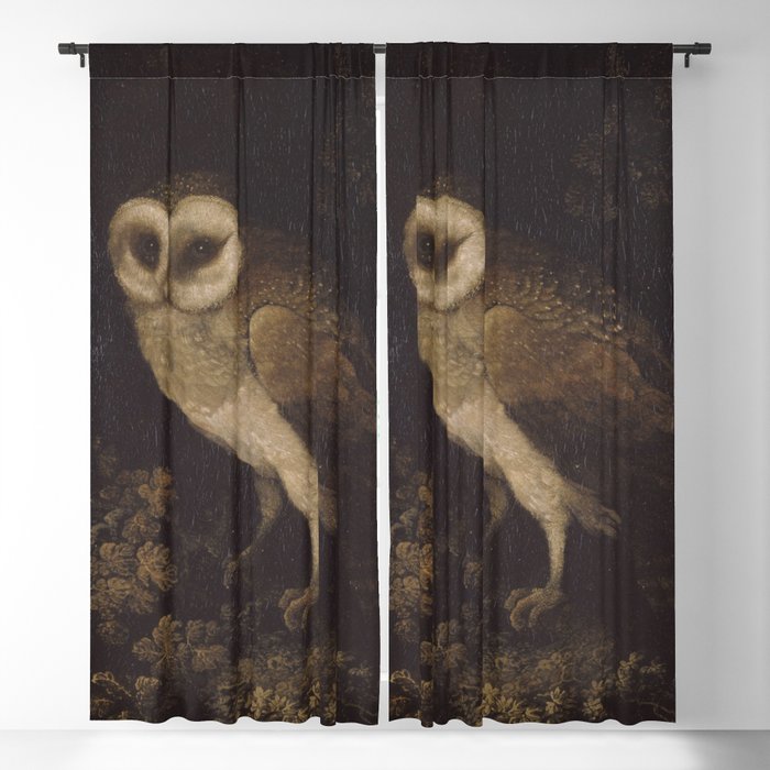 An Owl By Moses Haughton 1780 Funky Quirky Cute Cozy Boho Maximalism Maximalist Blackout Curtain