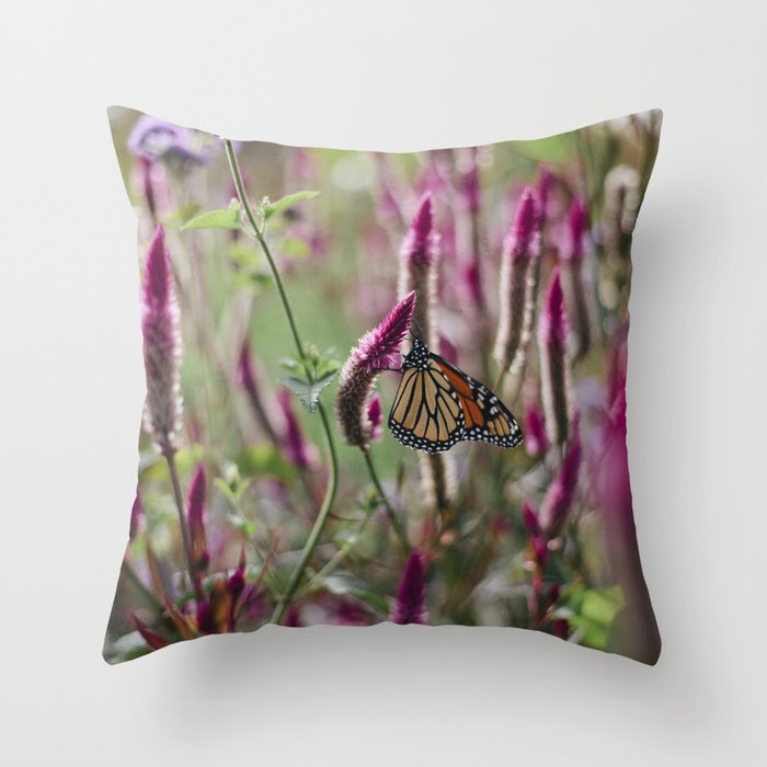 Monarch Butterfly on Celosia Plant / hot pink and orange  Throw Pillow