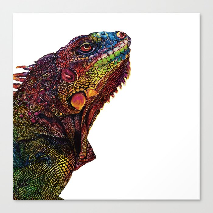 Iguana Watercolor Painting By Windy Shih Canvas Print