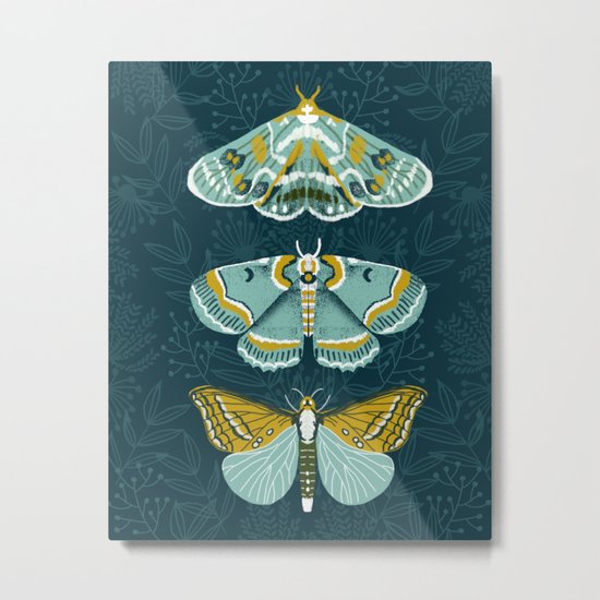 Lepidoptery No. 8 by Andrea Lauren Metal Print