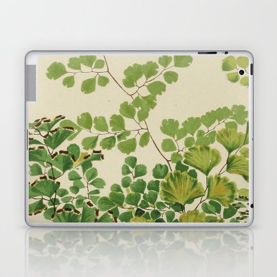 Maidenhair Ferns Laptop & iPad Skin