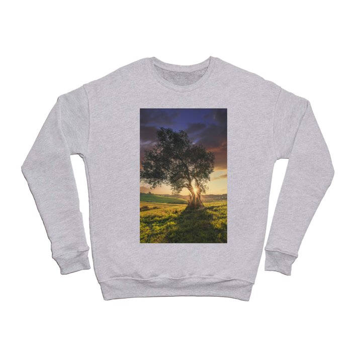 Olive tree at sunset. Tuscany Crewneck Sweatshirt