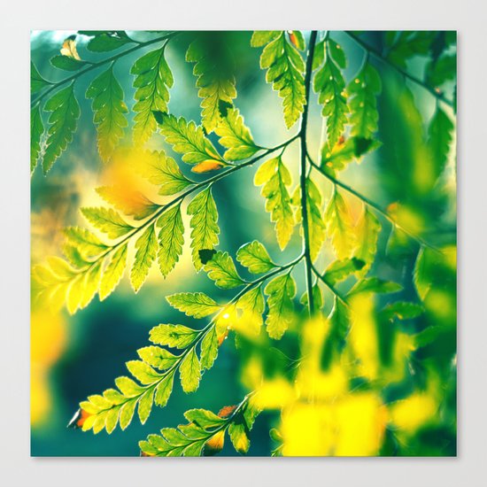 Memories in the Leaves Canvas Print