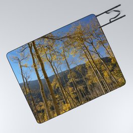 Aspen Autumn Forest 7451 - Aspen, Colorado Picnic Blanket