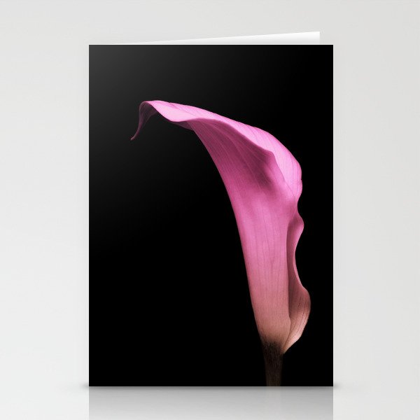 Pink Calla Lily Stationery Cards