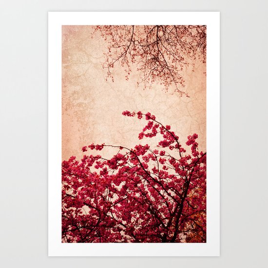 Encounters Art Print