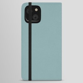 Medium Aqua Gray Solid Color Pantone Aquifer 15-5207 TCX Shades of Blue-green Hues iPhone Wallet Case