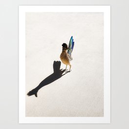 Roadrunner with colorful tail throwing shade Art Print