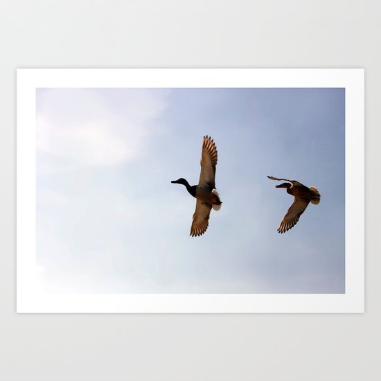 "Volando juntos" Art Print