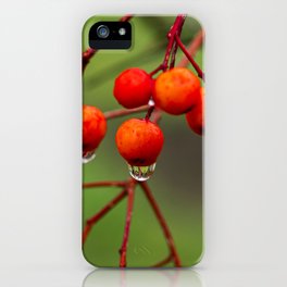 Rowanberries Fall iphone 11 case Rowanberries Fall iphone 11 case