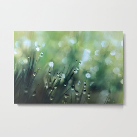 Moss Drops Metal Print
