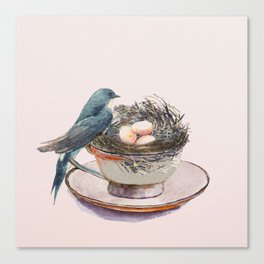 Bird nest in a teacup Canvas Print