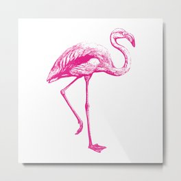 Flamingo | Pink Flamingo | Metal Print
