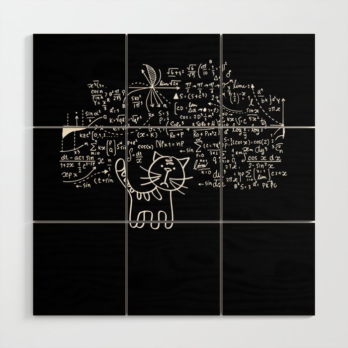 Schrodingers Cat In The Box - Funny Science Nerd Wood Wall Art