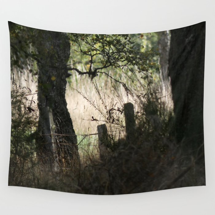 Nature Snapshots in the Scottish Highlands Wall Tapestry