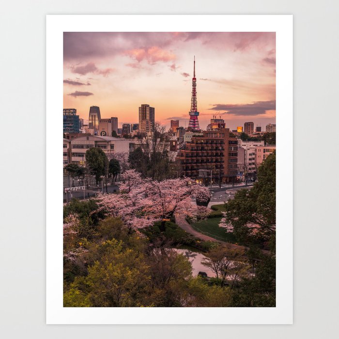 Tokyo Sunset in Spring with Tokyo Tower Art Print