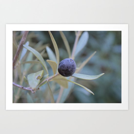 Olive Art Print