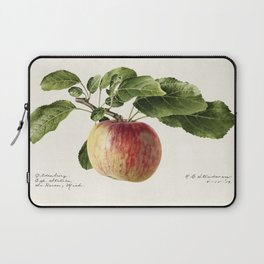 Apple (Malus Domestica) Laptop Sleeve