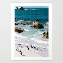 Penguins on Boulders Beach, Cape Town, South Africa || Travel photography Art Print