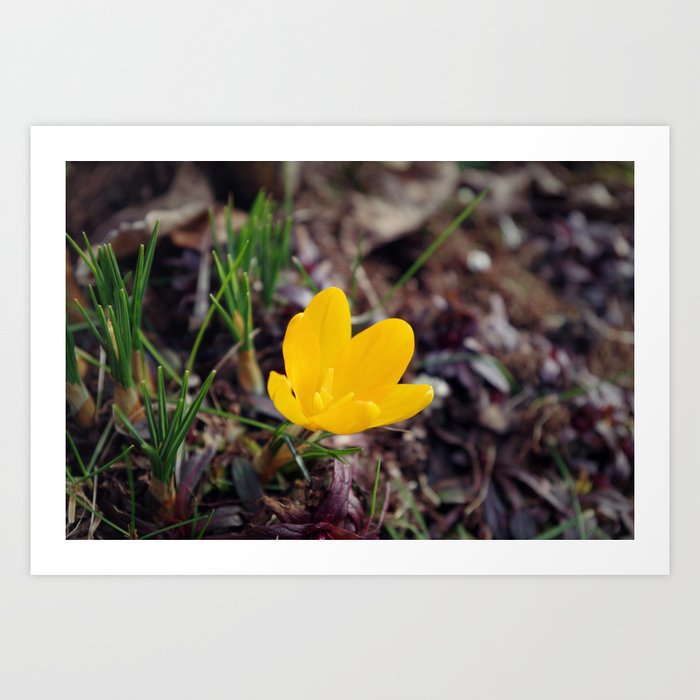 Signs of Spring Art Print