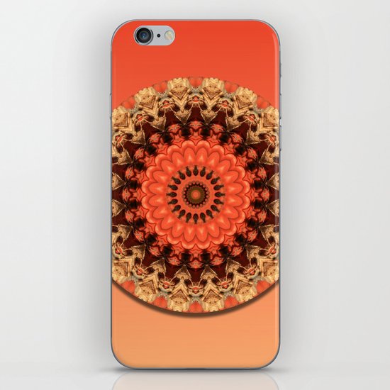 Pumpkin Kaleidoscope iPhone & iPod Skin