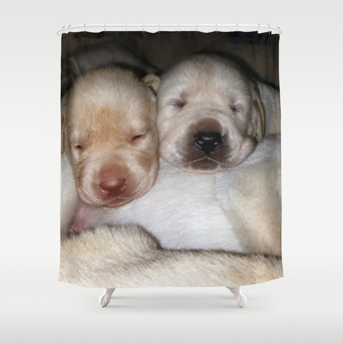 Little Polar Bears with yellow lab puppies Shower Curtain