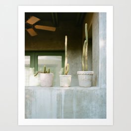 Cactus Porch on Film Art Print | Plants, Photo, Austin, Cactus, Garden, Film, Hotel, Summer, Motel, Fan 