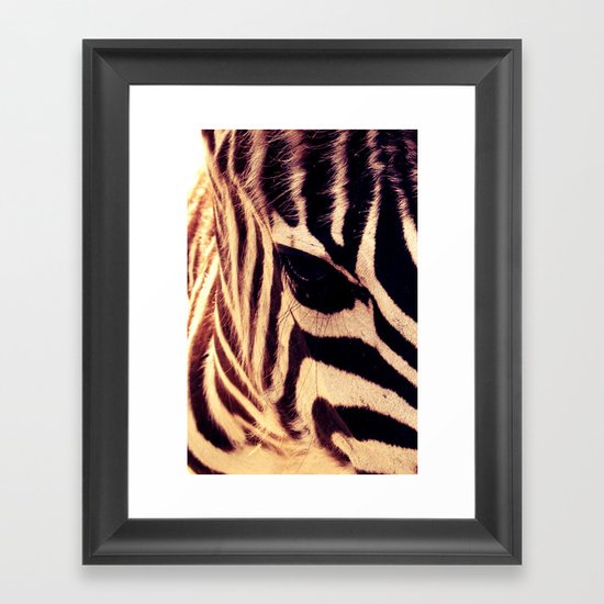 Zazu the Zebra Framed Art Print