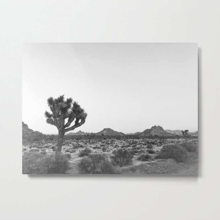JOSHUA TREE / California Desert Metal Print