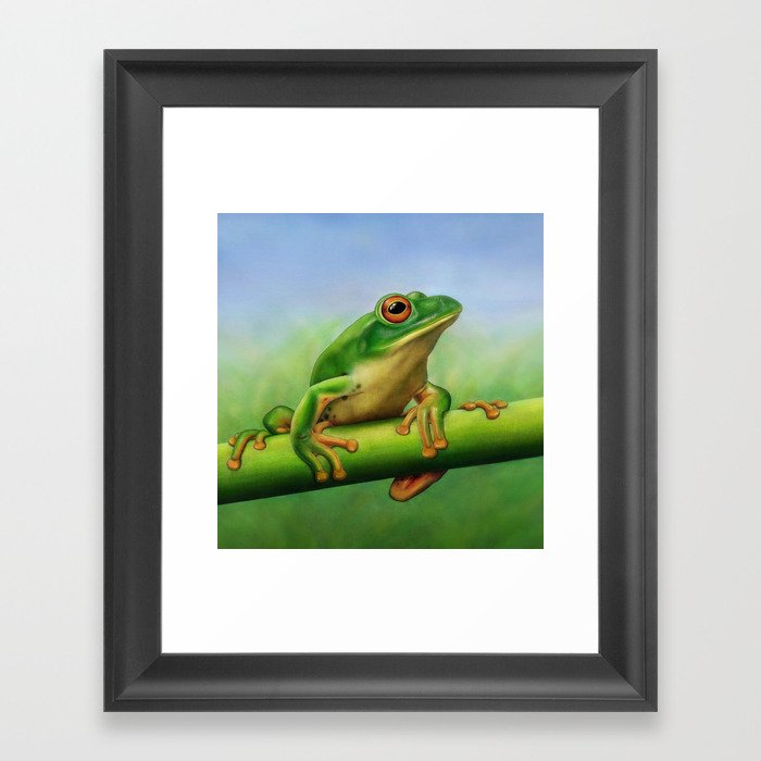Moltrecht's Green Treefrog Framed Art Print