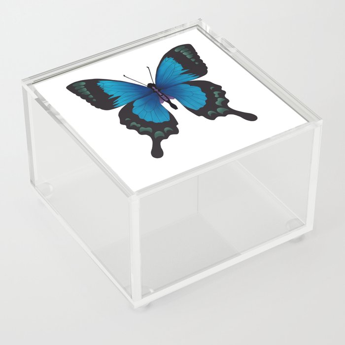 Blue Monarch Butterfly Acrylic Box