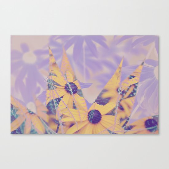 #150 Canvas Print