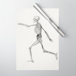 Human Skeleton, Lateral View Wrapping Paper