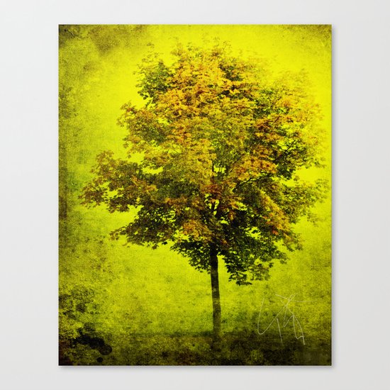 The Wishing Tree Canvas Print