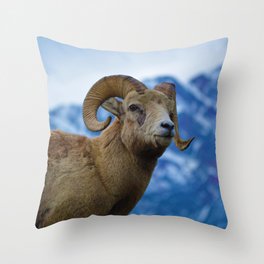 Big Horn Sheep in Jasper National Park | Canada Throw Pillow