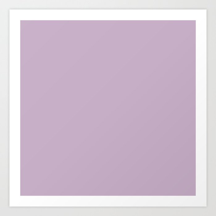 Wisteria Purple Color