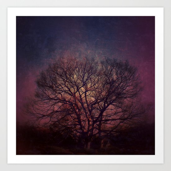 Doze... Art Print