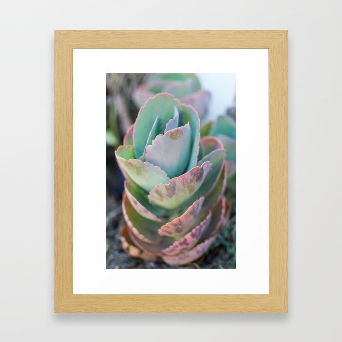 Soft ucculent Tower Framed Art Print