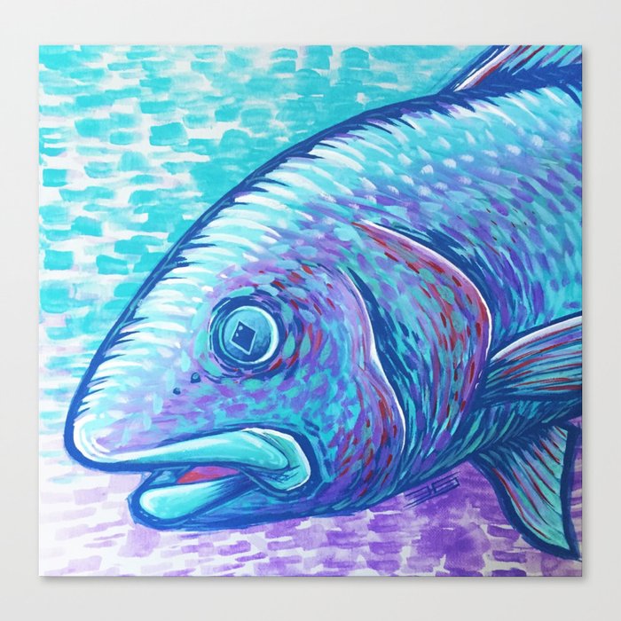 Redfish Canvas Print