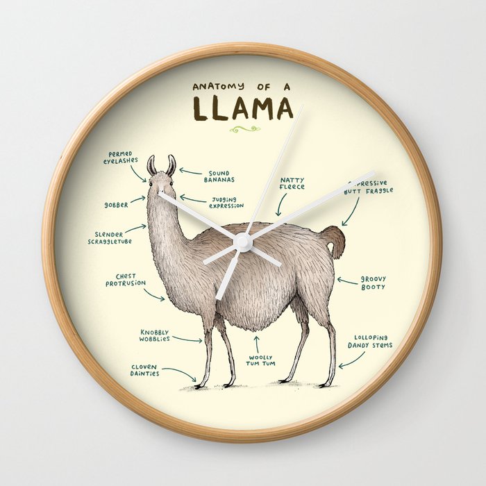 Anatomy of a Llama Wall Clock