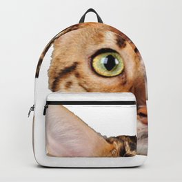 Bengal cat Backpack