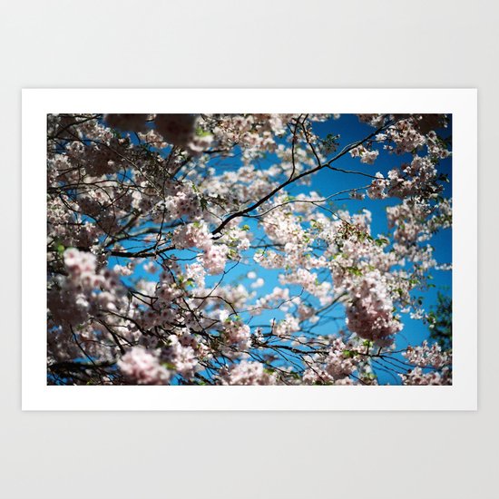 Spring Art Print