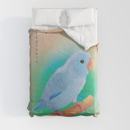 Club of lovers of Parrotlets. Umka Comforter