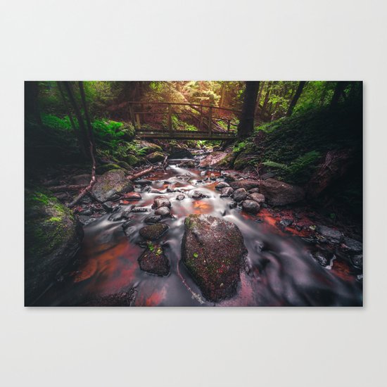 Slowrider Canvas Print