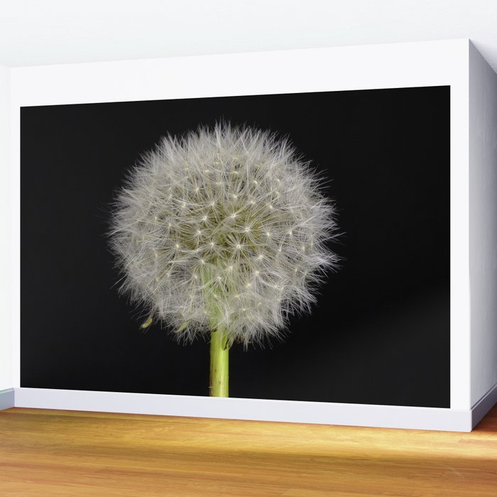 Dandelion Simple Wall Mural by birdwhiskers | Society6
