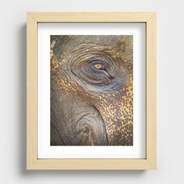 Close-up Elephant eye Recessed Framed Print