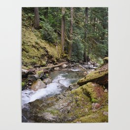 Creek Forest Landscape Nature Outdoors Washington Pacific Northwest Hiking Geology Mossy Rocks Poster