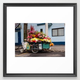 Flower Cart in Mexico City Framed Art Print