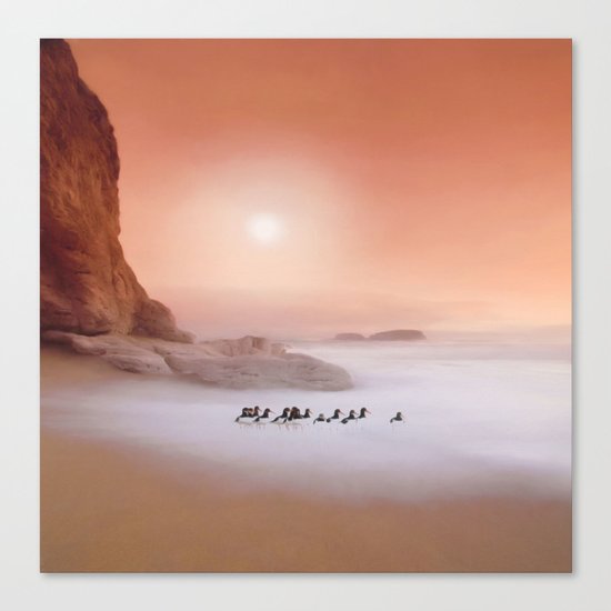 Peachy Morning Canvas Print